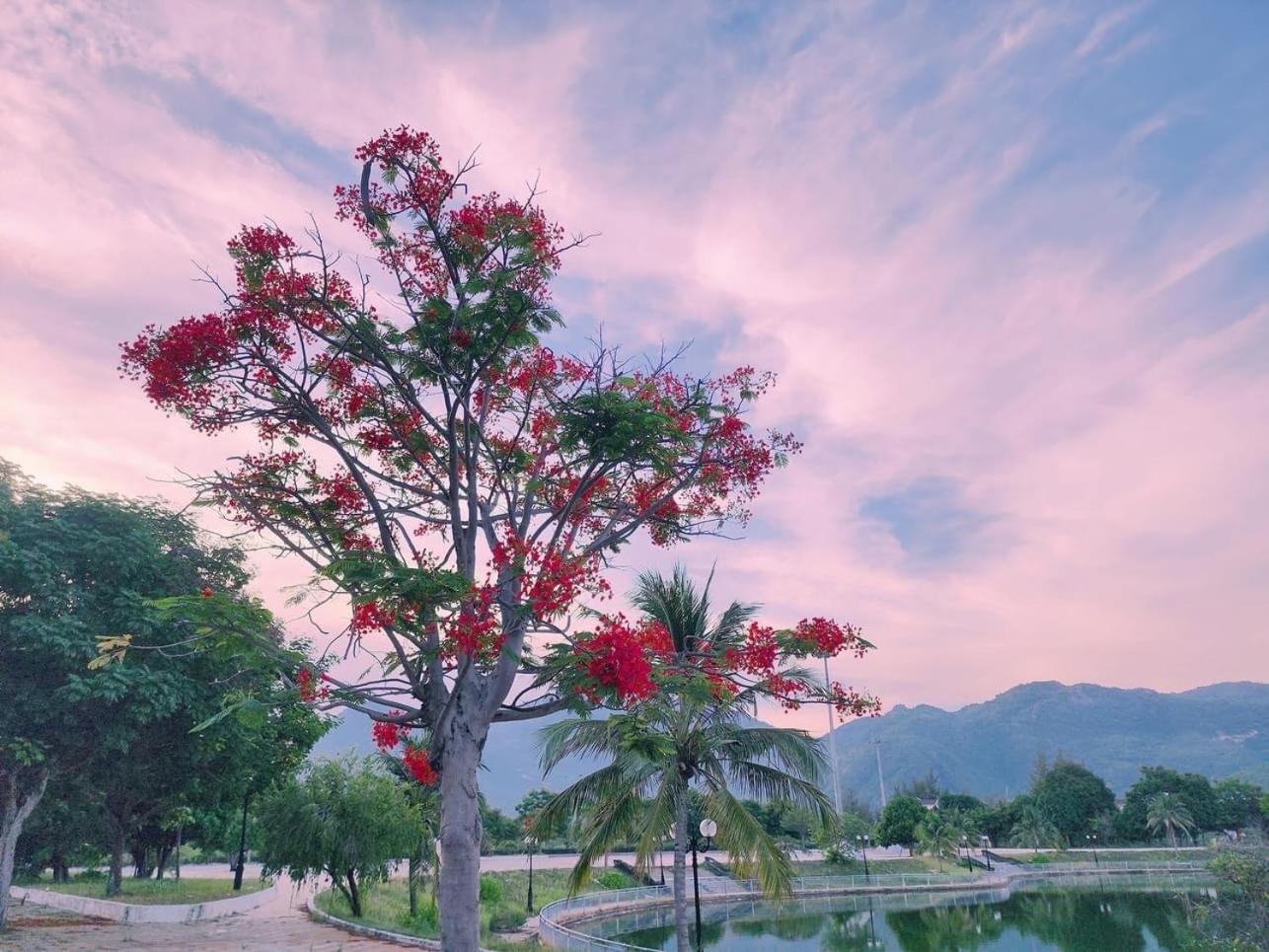 Moc Homestay- Near Bai Dai Beach Cam Lam Zewnętrze zdjęcie