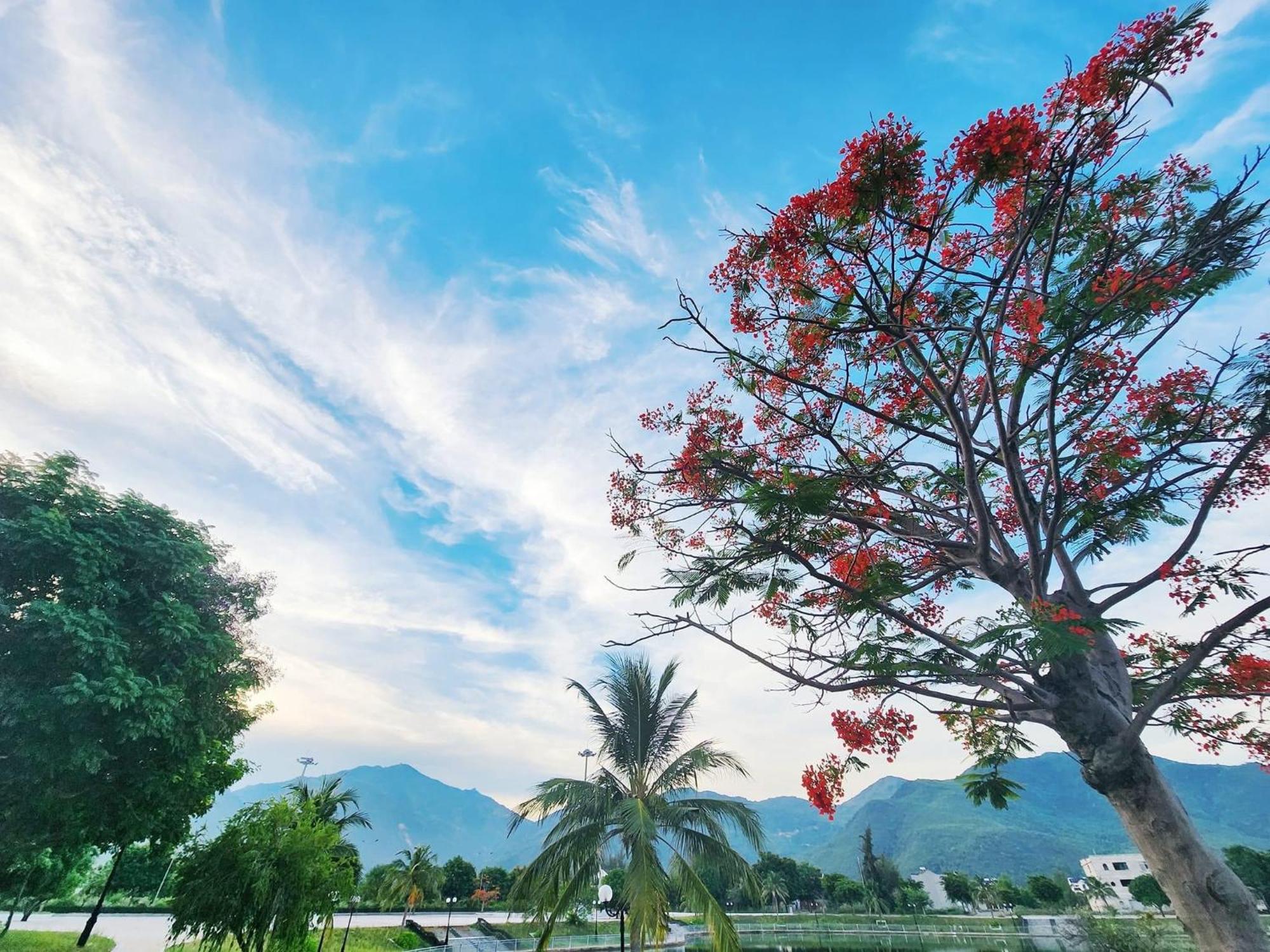 Moc Homestay- Near Bai Dai Beach Cam Lam Zewnętrze zdjęcie